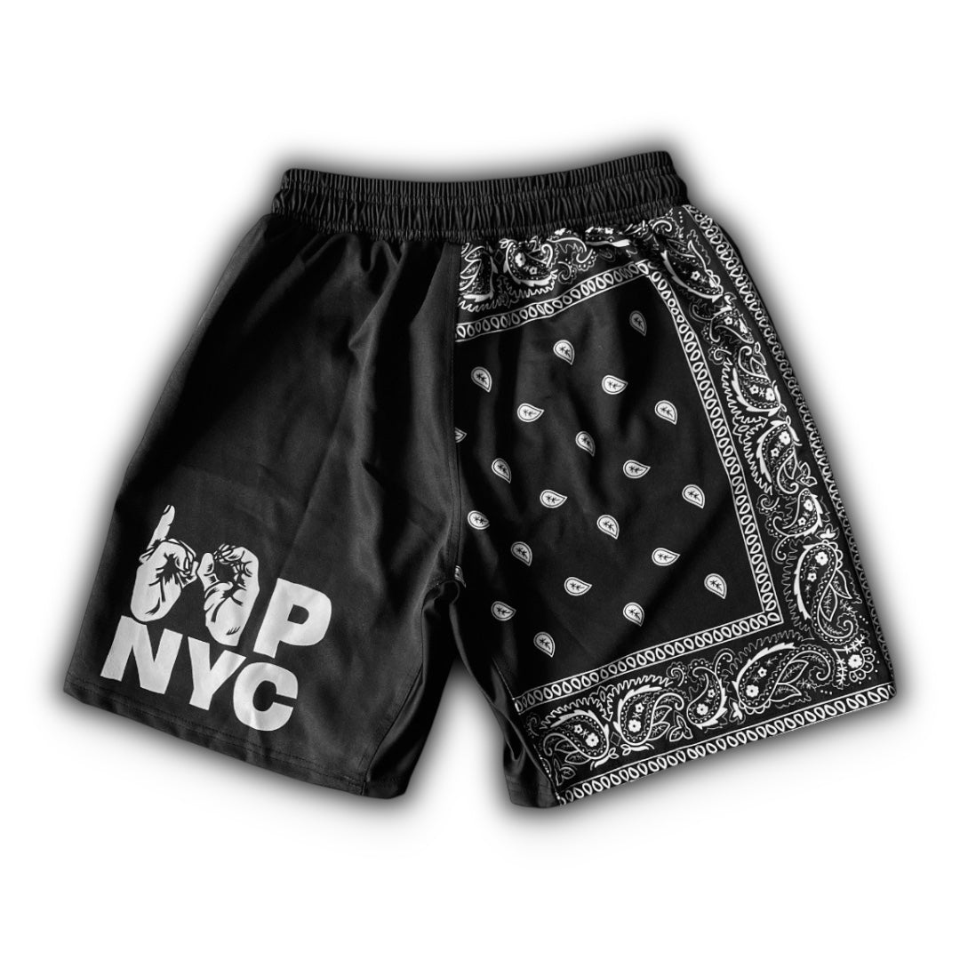 Bandana Shorts
